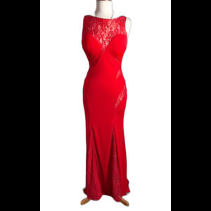 Janique Dress Size S Modern Romantic Aesthetic Evening Formal Gown